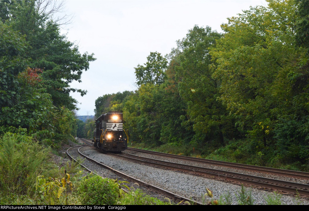 NS 5666 Long Hood Shot